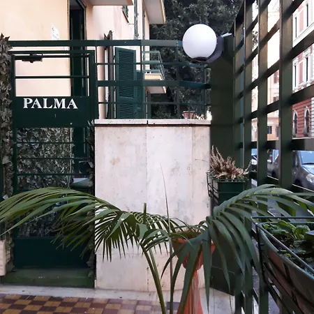 Palma-2