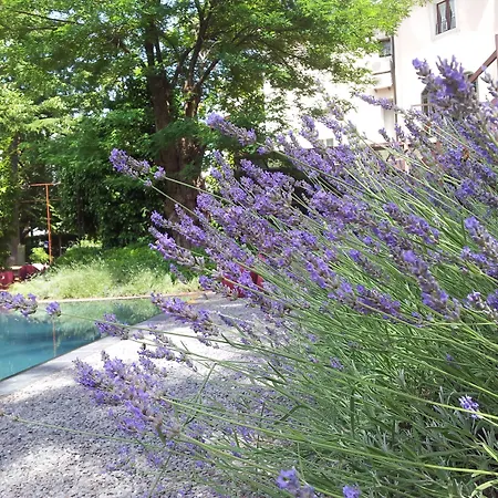 Hotel Clocchiatti Next-2