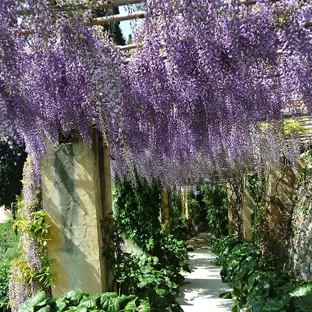 Villa della Pergola Relais et Chateaux-3