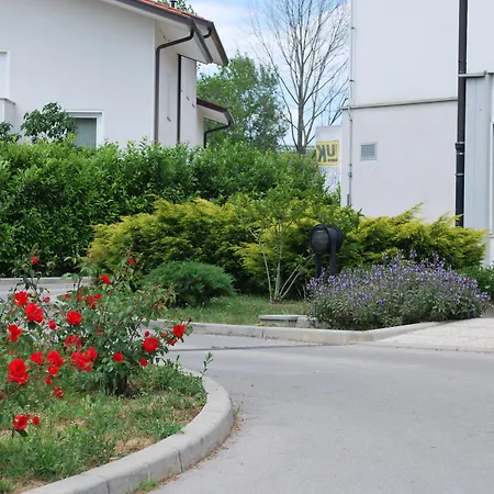 Bed And Breakfast Kogoj-3