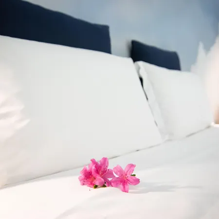 Experience Design Bed&Show-2