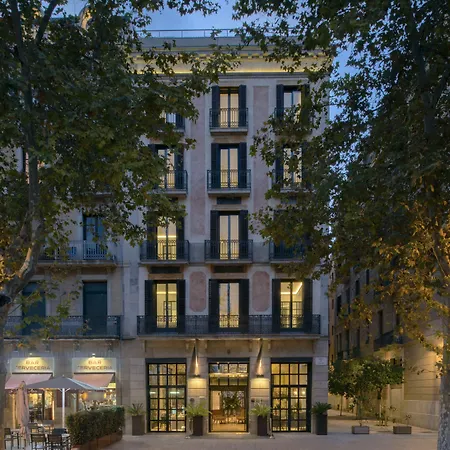 Serras Barcelona-3