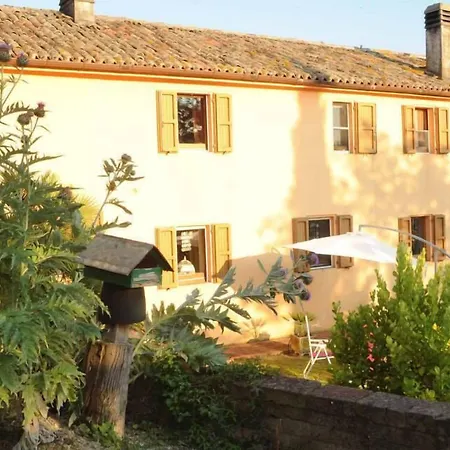 B&B Glicine-2