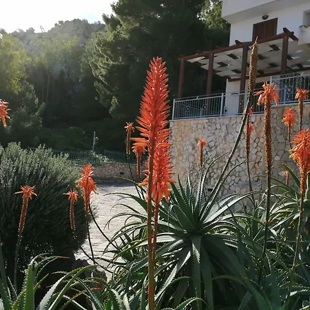 Albergo Auralba-3