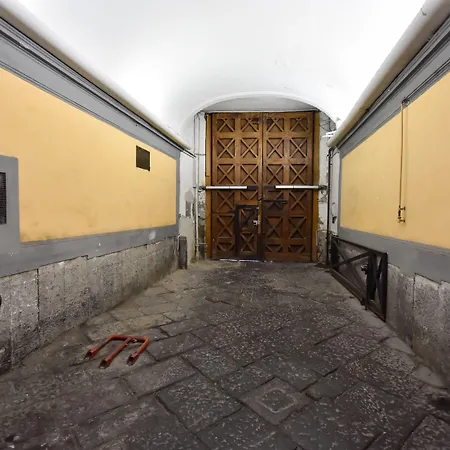 Domus Borbonica-2