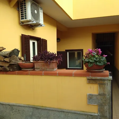 Home To Fly-2
