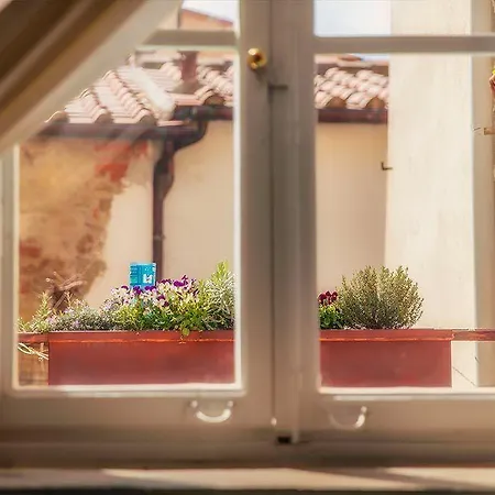 Ghibellino B&B-2