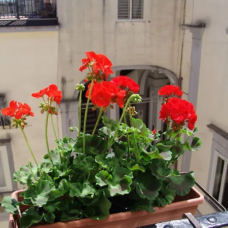 Terrazza dei Principi-2