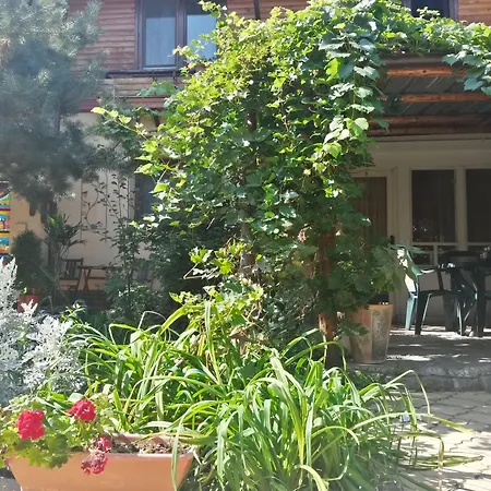 Casa Mica Guesthouse-3