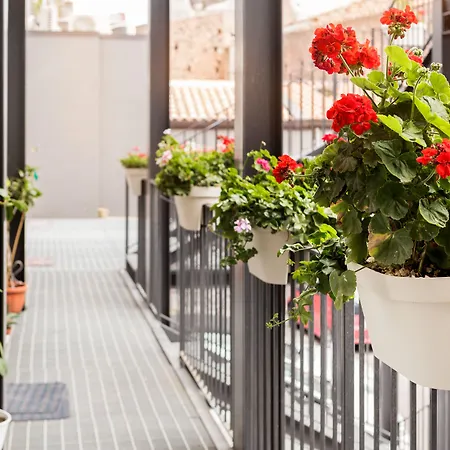Scuto Home-2