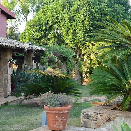Casa Realia-2