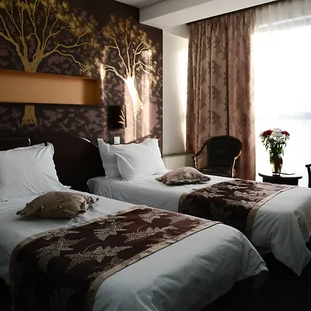 Hotel Razvan-2