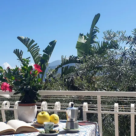 Casa Athena-3