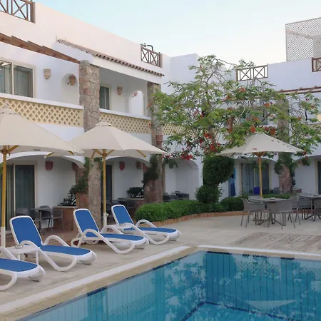 Camel Dive Club & Boutique Hotel-3