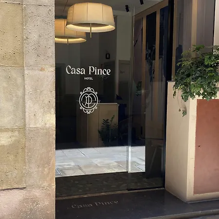 Casa Pince-3
