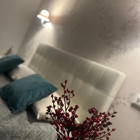 Lydka Domus-2