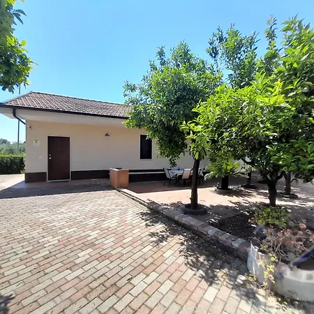 Serroni Alto-2