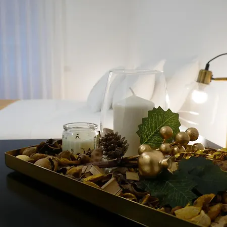 Barocci Home-2