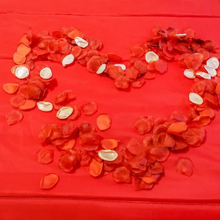 OPERA et LOVE - 200m dall'Arena e Parcheggio Convenzionato-3