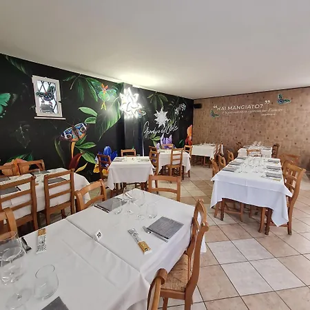 Hotel Giardino del Sole-3