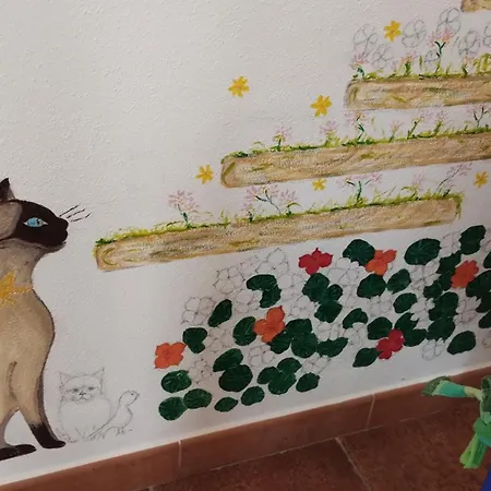 B&B Il Gatto Pescatore-2