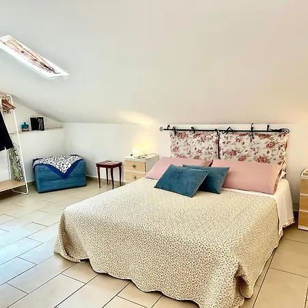 B&B Frai-2