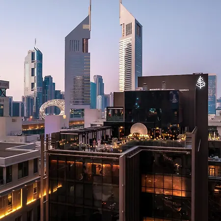 Four Seasons Hotel Dubai International Financial Centre-3