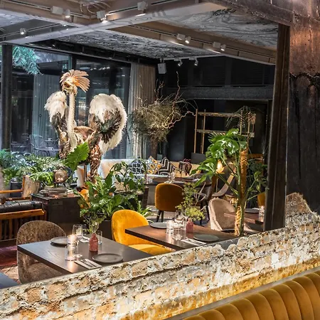 The Mandrake (Adults Only)-3