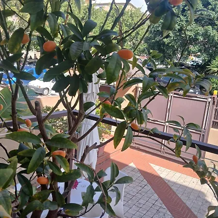 I Segreti della Valle-3