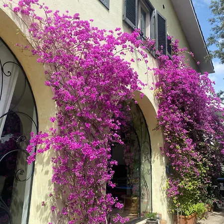 Villa Orsini-2
