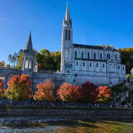 Hotel Saint Georges Lourdes-2