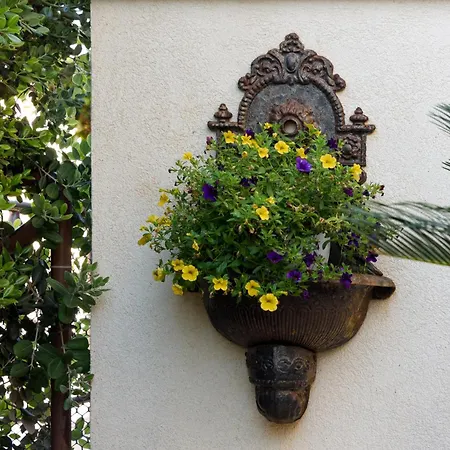 Athena Bed & Breakfast-2