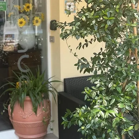 Hotel Garni Tosca-3