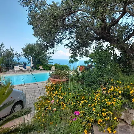 Villa Malandrino Guest House-3