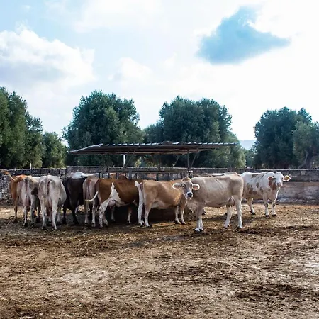 Masseria Lamapecora-2