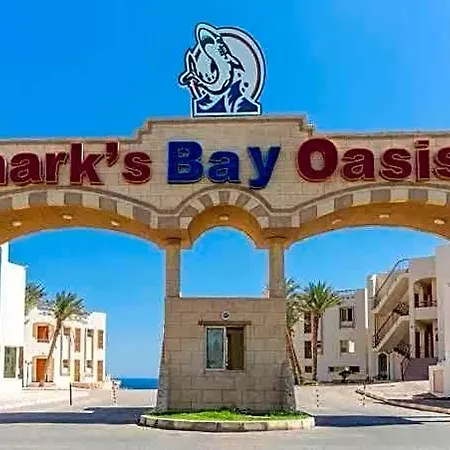 Sharks Bay Oasis Aqua Park-3