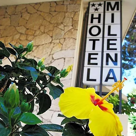 Hotel Milena-2