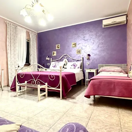 Bed&Breakfast degli ulivi-3