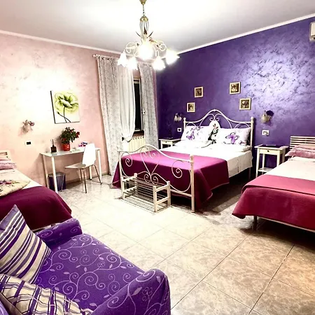 Bed&Breakfast degli ulivi-2