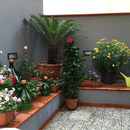 B&B Civico Cinque-3