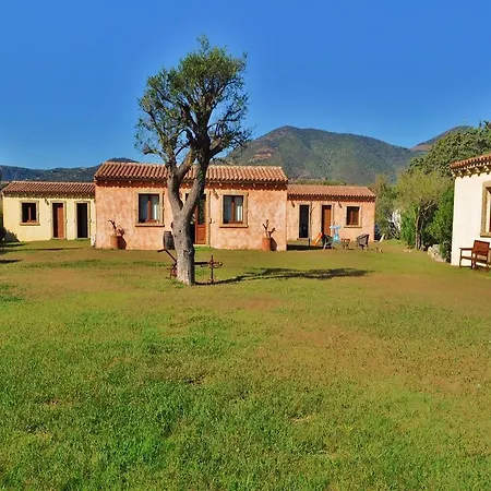 B&B Pubulos-2