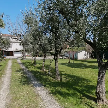 Hotel Olimpia-2