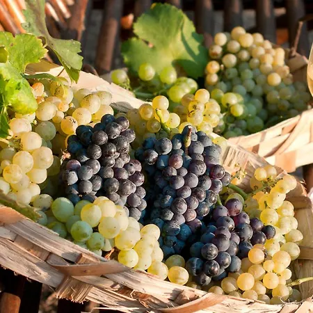 Albergo 'La Vigna'-2
