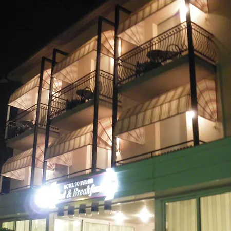 B&B Hotel Souvenir-2
