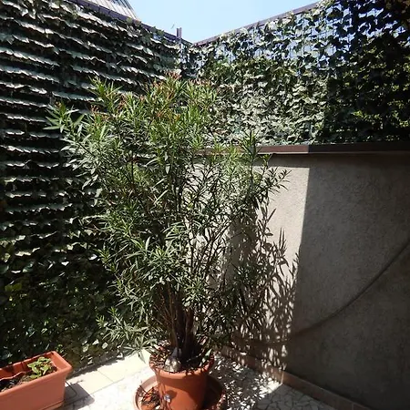Forte House-3