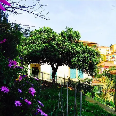 Levante Blu-2