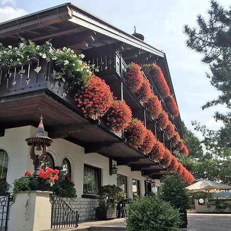 Hotel Villa Wilma-2