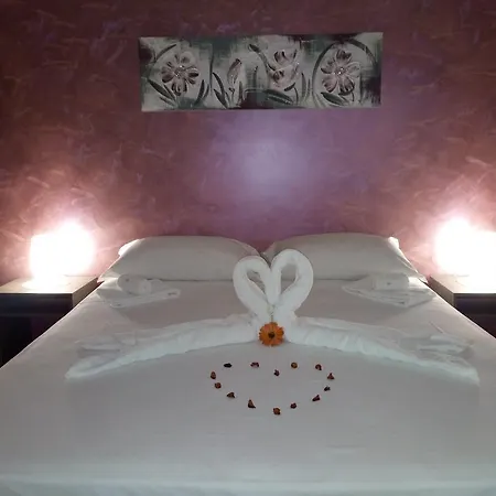 B&B Contesse-2