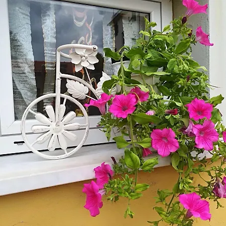 Locanda Del Golfo-2