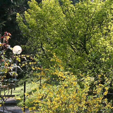 B&B I Ghiri-3
